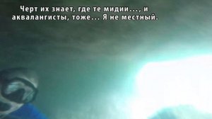 Как и где правильно есть мидий