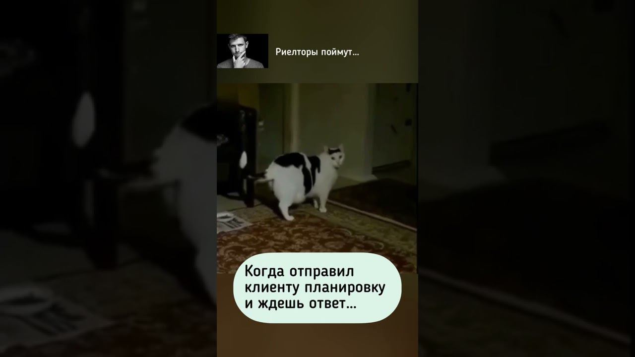 Пока все летит в известном направлении, я пощу котиков смотреть онлайн