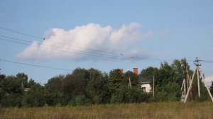 Пустельга 180824