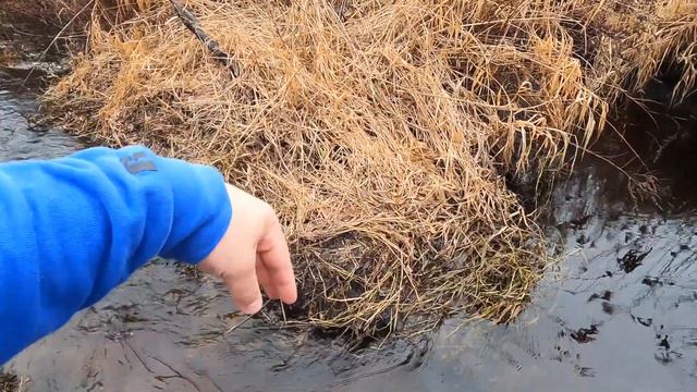 THREE GORGES BEAVER DAMS GET REMOVED & CLEANED UP! Beaver Dam Removal! PT 4 смотреть онлайн