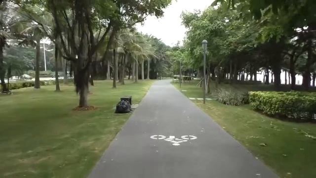 Краткий обзор гироскутер мини сигвей SmartWay - как это работает смотреть онлайн