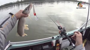 Рыбалка ТРОЛЛИНГОМ в Молчаново и всё о ТРОЛЛИНГЕ на Оби, часть 1. (07.09.2020)