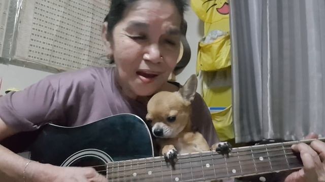 Hey Jude...?Cover by Malinda...? смотреть онлайн