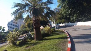 Курорт. Лоо(Сочи) санаторий "АКВАЛОО" прогулка по местности.