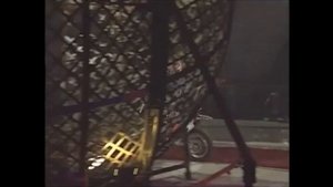 Цирк братьев Шатировых.  Шар смелости.