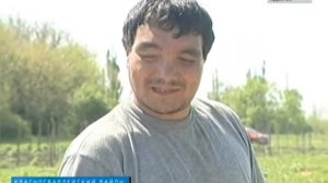 В Адыгее начался сбор клубники