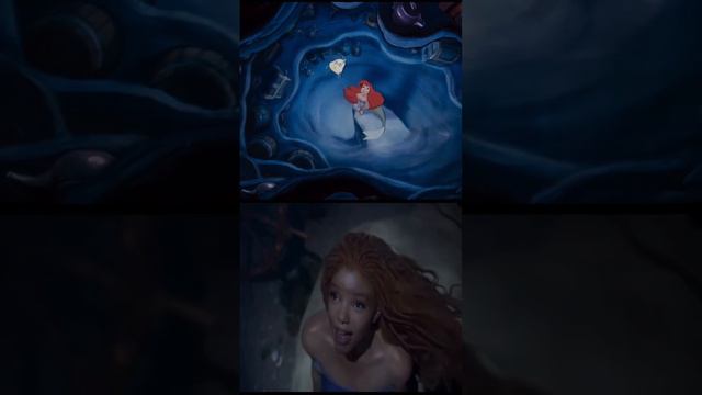 The Contrast between The Little Mermaid