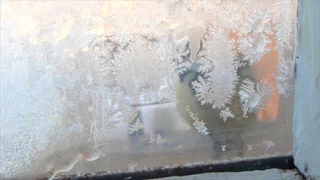 Гуляющий воробей Тоша и маленькие "дятлы" за окном. смотреть онлайн