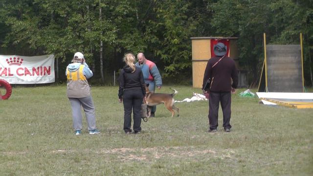 Селектив фигурантов мондьоринга. смотреть онлайн