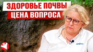 Почему без здоровой почвы нет агробизнеса | Почвенное плодородие | Растениеводство