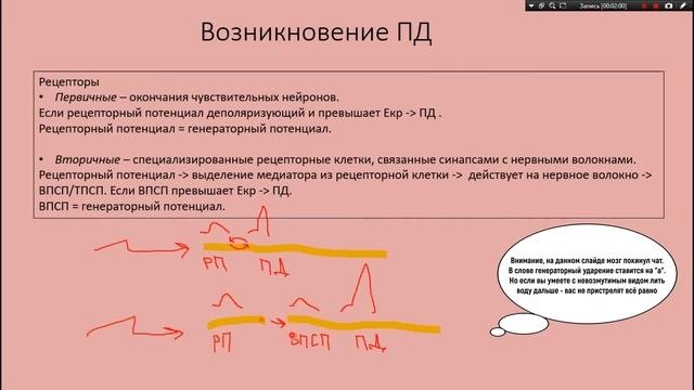 Сенсорные системы