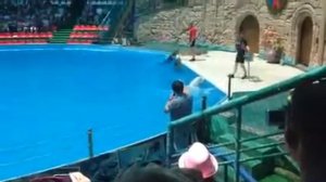 Дельфинарий Адлер