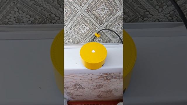 Моя Яндекс Станция Лайт не хочет включать музыку требует подптску Яндекс Плюс смотреть онлайн