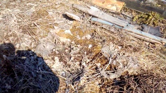 Мой уральский огород. Парники, земляника. смотреть онлайн