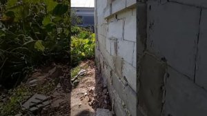 дом без фундамента почти 100 лет