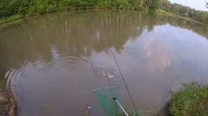 ЭТО ОЗЕРО КИШИТ КРУПНОЙ РЫБОЙ. Рыбалка на поплавок