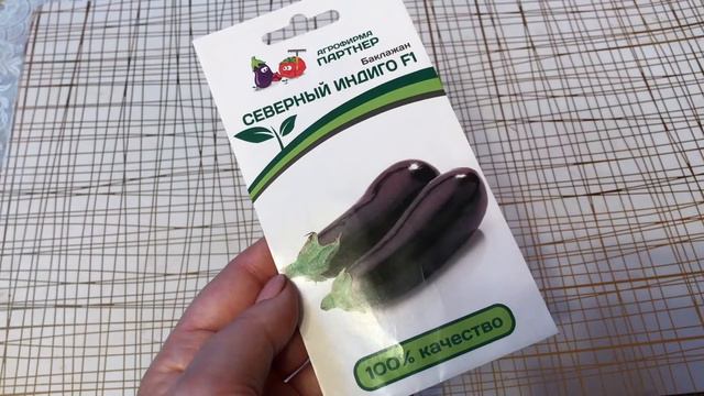 ЧТО ПОСАДИЛИ И ЧТО ВЫРОСЛО / часть 1