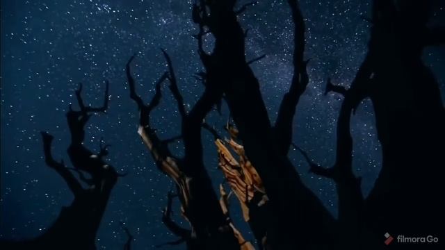 "А ты когда-то слушал тишину?" Эдуард Жолудев смотреть онлайн