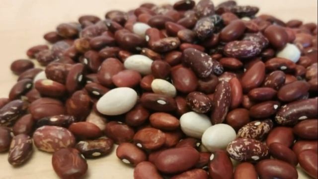 Как хранить фасоль