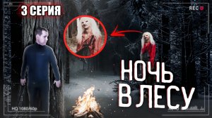 НОВОГОДНЯЯ НОЧЬ В ЛЕСУ. Эксперимент на выживание. 3 СЕРИЯ