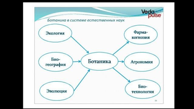 Основы ботаники. Физиология растений. Значение ботаники для человека