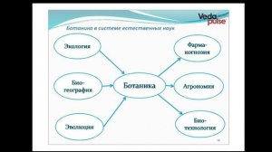 Основы ботаники. Физиология растений. Значение ботаники для человека