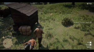 Как получить ковбойскую шляпу в Рдр2 (Rdr2) ?