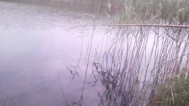 рыбалка на реке Альта.На опарыша даже рыба ловится!!!!🦈🤩 смотреть онлайн