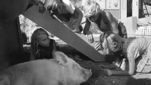 А чё это вы здесь делаете? Иди иди отсюда не видишь через речку прыгаем!!!