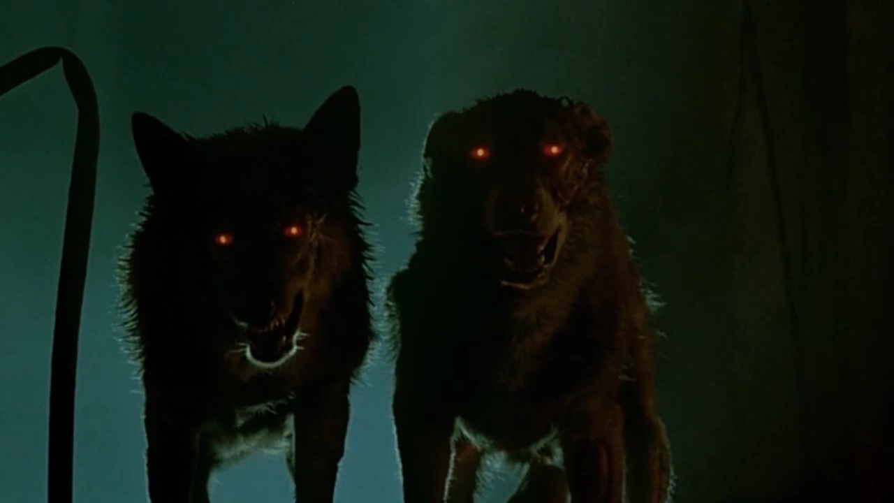 Треш обзор фильма Пейзаж снов (1984)  смотреть онлайн