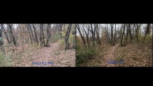 Сравнение Gopro 12 и камеры смартфона