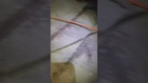 шеви нива оторваться кронштейн реактивной тяги