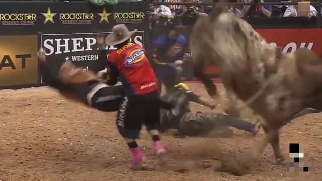 Бык VS Ковбой смотреть онлайн