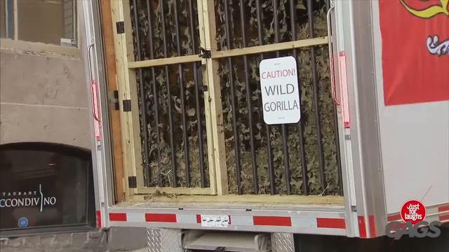 Коллекция самых смешных | Часть #15 смотреть онлайн