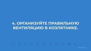 Курс обучения "Животноводство" - 6 советов по содержанию коз зимой