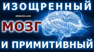 ? Триединый мозг: рептильный, лимбический, неокортекс. Как строение мозга определяет виды поведения