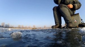 Первый лёд. Открыл сезон. Окунь на гондурас.