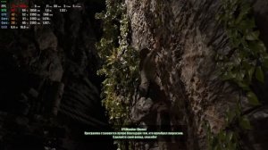 Shadow of the Tomb Raider: Definitive Edition  запуск на слабом ПК (2ядра