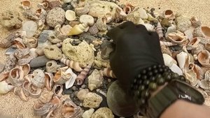 It's time to throw stones and time to collect stones. (Время разбрасывать камни и время собирать).