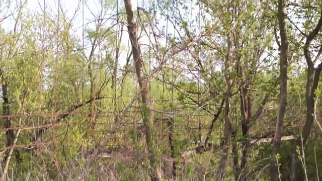 Поездка в Сердобск Пензенской области