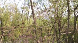 Поездка в Сердобск Пензенской области
