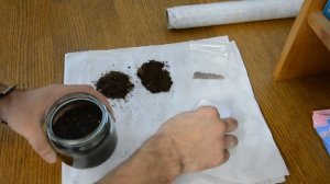 Посадка семян Сосны Бонсай купленных на Aliexpress