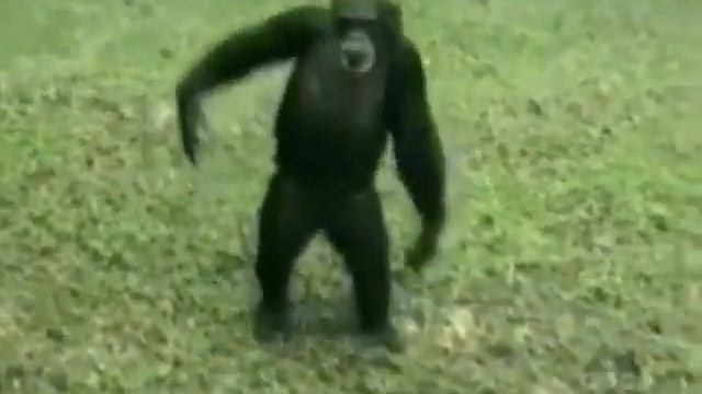 подари мне платок х смотреть онлайн