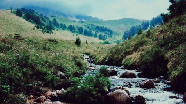 Umar Hamdamov.  Och yuzim gassol bir dam.     Умар Хамдамов.  Оч ёзим ғассол бир дам.