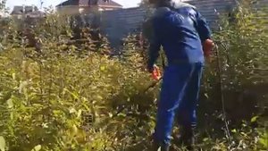 Триммер электрический DDE  ET1200RD..mp4