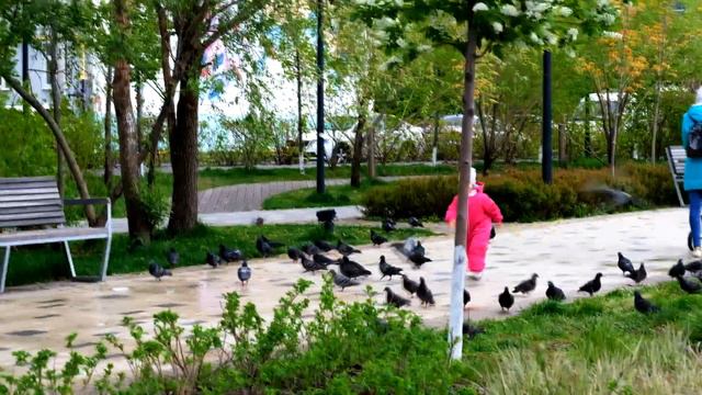 Арчи. Парк Белые цветы. #яркиймир22 смотреть онлайн