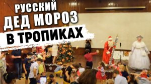 Новогодняя елка в тропиках