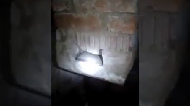 Баня из арболита, обзор парилки:) смотреть онлайн