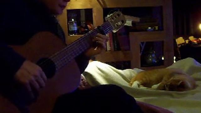 strange i´ve seen that face before (Grace Jones cover) ofwel Libertango van Astor Piazzola смотреть онлайн