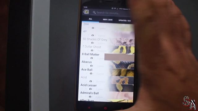 ?? ¿Todas las fases de Python regius? - World of Ball Pythons, Morph list (APP) ??